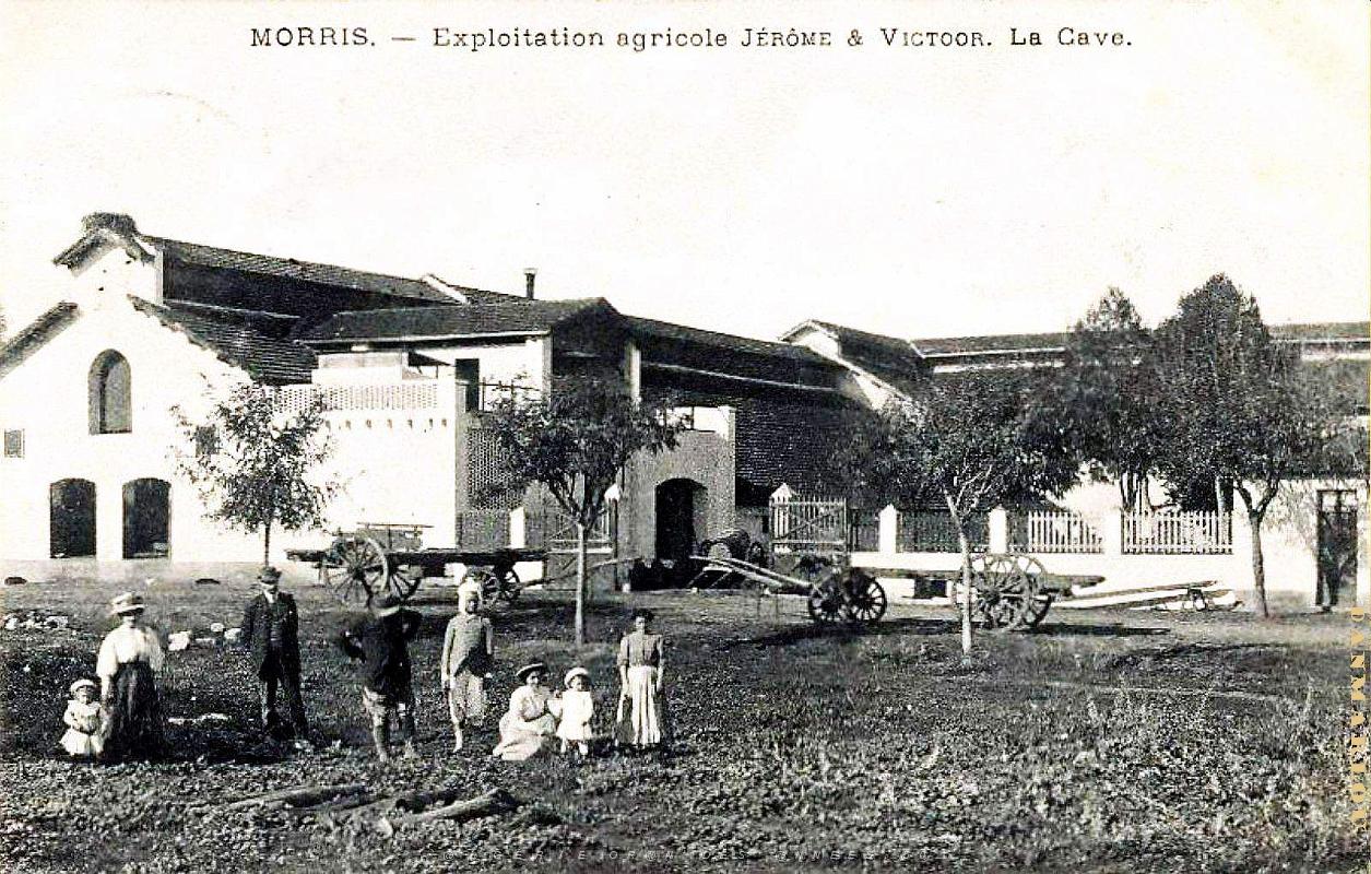 2298- Morris - Exploitation Jerome et Victor - Cave.jpg